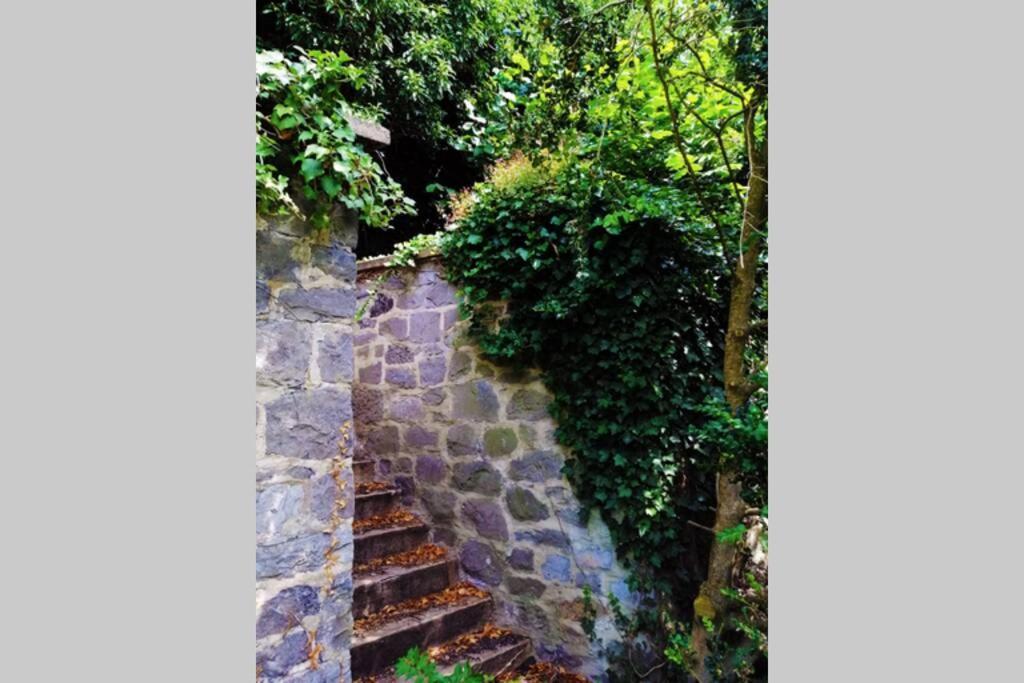 Ferienwohnung La Belle Vigne Namur  Exterior foto